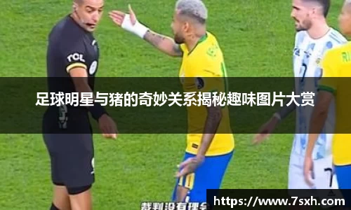 mk体育有限公司